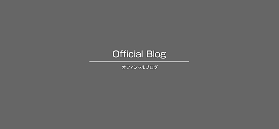 木造家屋　３０坪  【工期】５日